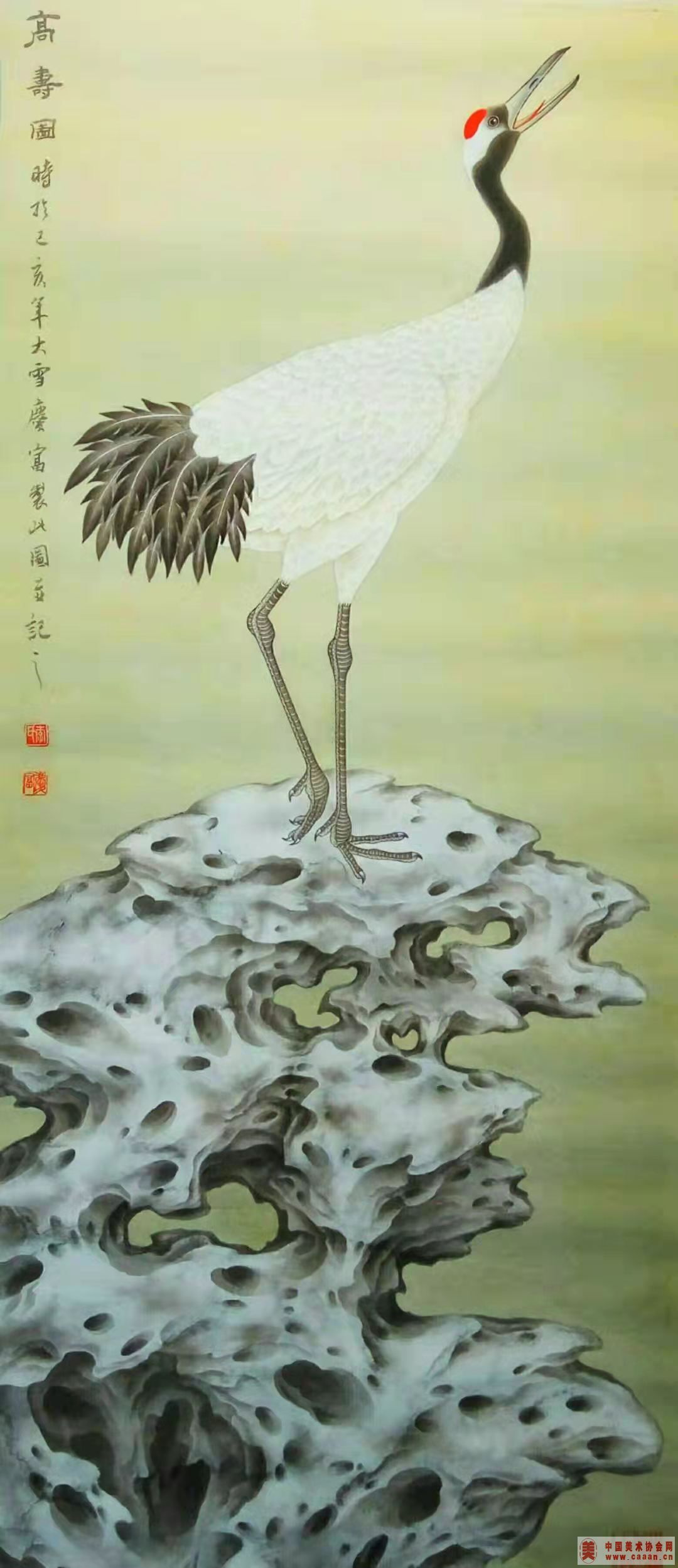 ͼ