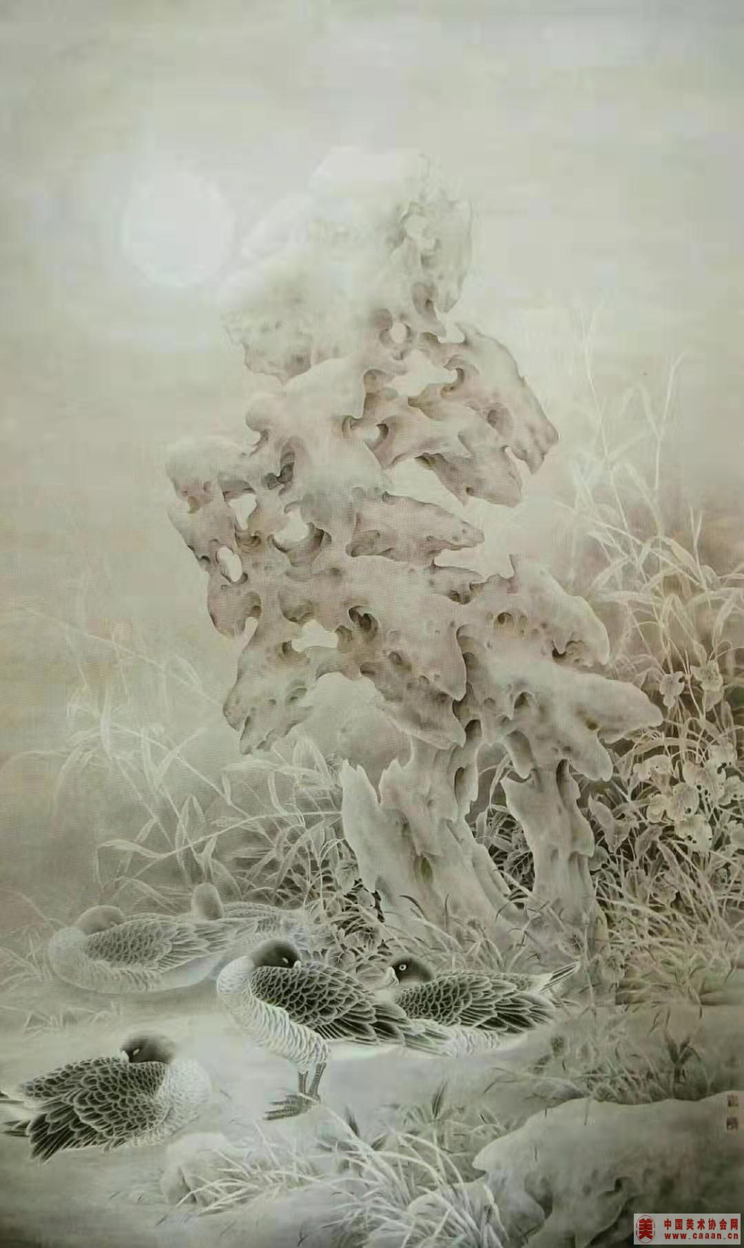 ˪